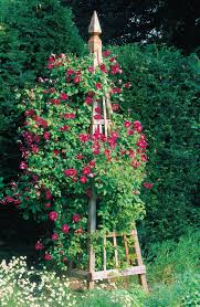 Attractive and functional, this structural element of the garden brings form and fun to an ordinary raised bed garden. How To Make A Great Garden Trellis Or Arbor Sunset Magazine