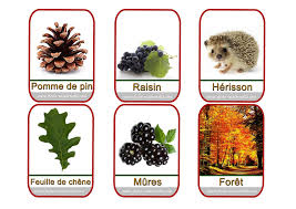 Imagier Automne 2 Jpg 3 508 2 480 Pixels Imagier Automne Automne Maternelle