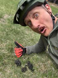 What is the meaning of eggs chocolate rabbits in gears?