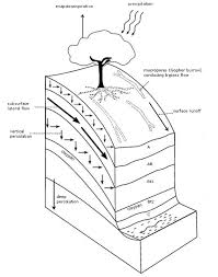 soil water dynamics learn science at scitable