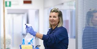 Connaissance des produits à utiliser. Cycle Agent De Proprete Inhni