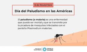 El paludismo es una enfermedad causado por un parásito plasmodium, el cual es trasmitido por la picadura de un mosquito infectado. Dia Contra El Paludismo En Las Americas Ministerio De Salud Publica De Tucuman