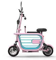 Byylh Bicicleta Electrica Plegable Adulto Montana Litio 36v Ruedas Doble Freno Disco E Bike Bicicl Bicicleta Electrica Plegable Bicicleta Electrica Bicicletas