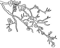 Cara menggambar bagian 63 burung di pohon ornamen youtube via youtube.com. Gambar Mewarnai Bunga Sakura Terbaru Gambarcoloring
