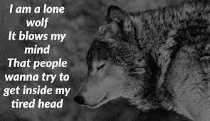 Pin By Misha On Wolf Quotes Wolf Quotes Motivational Thoughts Feelings
