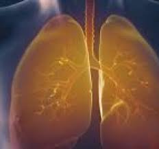 In cadrul clinicii hiperdia piata sudului sunt disponibile urmatoarele servicii si investigatii medicale:. Medic Pneumolog Bucuresti Sector 4 Tratament Tbc Bronsita Pneumonie Astm Bronsic