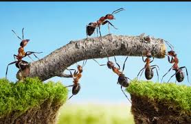 Sudah empat hari ini ia duduk di beranda rumah sore hari. 10 Pola Soal Teks Cerpen Dan Kunci Jawaban Terbaru Kependidikan