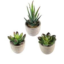 While epsom salt it commonly used for bath soaks, it can also be a beneficial soil additive. Pin On Natur