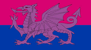 The pisexual/piamoric flag was made by a user going by al/ally on november 6th, 2020. Welsh Bisexual Flag Baner Deurywiol Cymraeg Vexillology