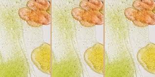 Gommage visage maison contre les points noirs. Gommage Visage Maison 5 Recettes Pour Tous Les Types De Peaux Marie Claire