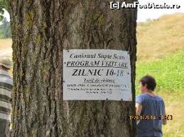 Cheile si cascadele sapte scari. Spaima Si Splendoare La Canionul 7 Scari Impresii Canionul Sapte ScÄri Dambu Morii Masivul Piatra Mare Amfostacolo