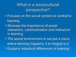 The Sociocultural Perspective Social Interaction Social Environment Social Behavior