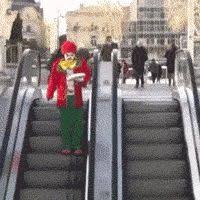 Taking you to new heights! 14 Escalator Mishaps Ideas Escalator Funny Gif Bones Funny