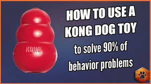 How To Use A Kong Dog Toy 90 Of Behavior Problems Eliminated