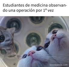 Algunas funciones de este sitio (compartición de. Juegos Macabros Memes Meme Disaster Girl El Profe De Quimica Hacia Muchos Juegos Macabros Estoy Segura Que No Se Volvera A Repetir 1035766 Cual See More Of Juegos Macabros On Facebook