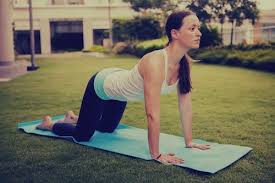 Get On All Fours Why The Cat Cow Yoga Pose Is Good For You Yoga Benefits Basic Yoga Yoga Poses