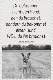 Sprüche hund mensch beziehung language:de / sprüche hund mensch beziehung | sprüche kurz 2020. 35 Coole Hunde Spruche Hunde Zitate Ideen Hund Zitat Hundespruche Hunde