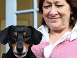 The Long and Short of it All: A Dachshund Dog News Magazine: August 2011