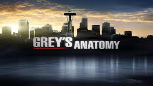 Check spelling or type a new query. Grey S Anatomy Saison 15 Episode 23 Streaming Vostfr Vf