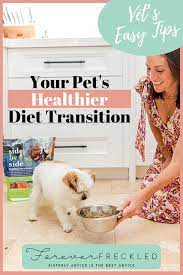 Best Healthy Dog Food Advice From A Veterinarian Forever Freckled Healthy Dog Food Recipes Healthy Dogs Dog Food Recipes