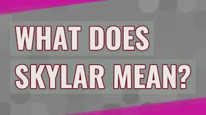 Skylar Name Meaning, Origin, History, and Popularity