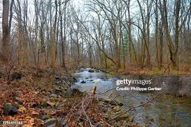 24 Philippe Newlin Stock Photos, High-Res Pictures, and Images