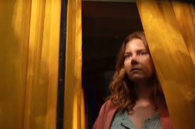 Dear other books with unreliable narrators: The Woman In The Window Trailer Amy Adams In Netflix Chiller Indiewire
