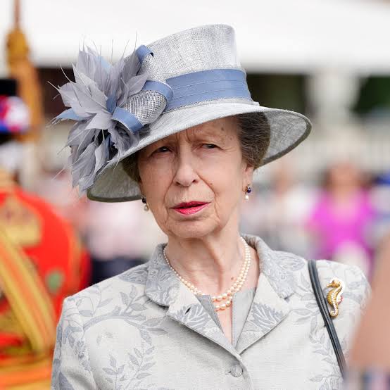 Princess Anne home after hospitalization for concussion
