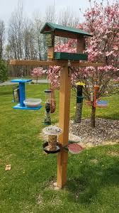 Bird Feeding Station Bluebird Feeder Oriole Feeder Thistle Seed Feeder Tube Feeder Whole Pe Bird Feeding Station Backyard Birds Sanctuary Feeding Station
