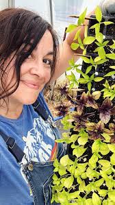 Let’s plant some purple basil… 💚💜 , This is the Red Rubin organic basil  from @johnnys_seeds ~ first time growing it. Can’t wait to create some  beautiful things in the kitchen with this!, What’s your ...