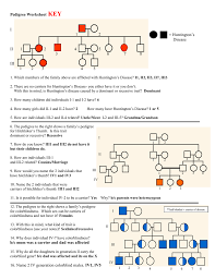 Create a pedigree chart usbiologyteaching com. Answer Key