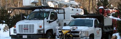 Transfer station permit fee waiver policy (pdf) tree removal policy. Tree Removal Weston Ma James English Tree James English Tree