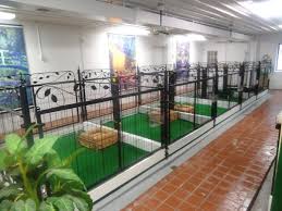 Premier pet boarding, day camp, grooming, training, activities and more. Small Pet Hotel Near Me Online
