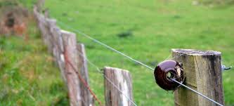 An electric dog fence can help prevent your dog from wandering off. Determining The Proper Gauge For Electric Fence Wire Doityourself Com