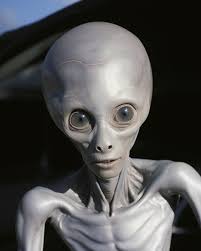 The Grays/Greys : r/midjourney