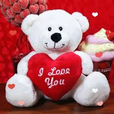 Https Encrypted Tbn0 Gstatic Com Images Q Tbn And9gcsxq0vr3e Uc1odzfruuy2u5bzat3u Vae80g Usqp Cau