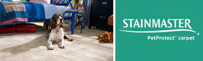 Stainmaster pet protect carpet and flooring prevents damage due to accidents, scratches, and odors. Stainmaster Pet Protect Carpet Now Available At Milford Flooring