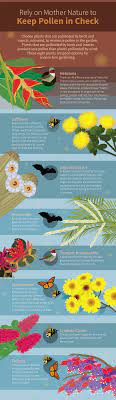 Create A Sneeze Free Garden Allergy Friendly Plants Natural Remedies For Allergies Grow Organic Plants