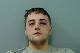 Harrowing video shows dad's cries for help and cocaine-driver's arrest  after he crashed into boy, 6