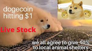 Dogecoin is a cryptocurrency that was created as a joke — its name is a reference to a popular internet meme. Dogecoin Skyrockets Dogecoin Live Stocks Watch Doge Coin To The Moon 4th Feb 2021 Youtube