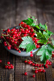 Loveliegreenie Musthavestyle Starmeena Musthave Pinterest Starmeena Fruit Photography Fruit Beautiful Fruits