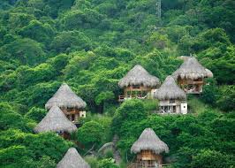 Image result for colombia park