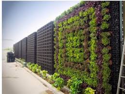 Vertical garden freestanding green wall system. Atlantis Gro Wall Pro Gro Wall Vertical Garden System