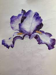 Watercolor Iris Iris Painting Acrylic Painting Flowers Flower Painting