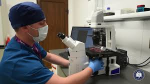 Maybe you would like to learn more about one of these? Home