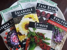 Pin On Cfg Seed Picks