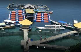 Maybe you would like to learn more about one of these? 11 Tempat Wisata Bahari Di Sulawesi Tenggara Yang Wajib Anda Kunjungi