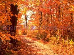 Dust off those pictures and put them on your screen! Colors Of Autumn Free Screensaver Download