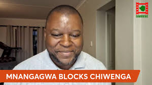 Gambakwe explains why you should never eat raw ginger or herbs