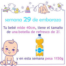 Llegada la semana 29 de embarazo, ya has vencido más de las dos terceras partes de este hermoso trayecto, queda ya muy poco para terminar este recorrido y vivir con alegría el arribo de tu bebé. Semana 29 De Embarazo Cambios Sintomas Y Consejos